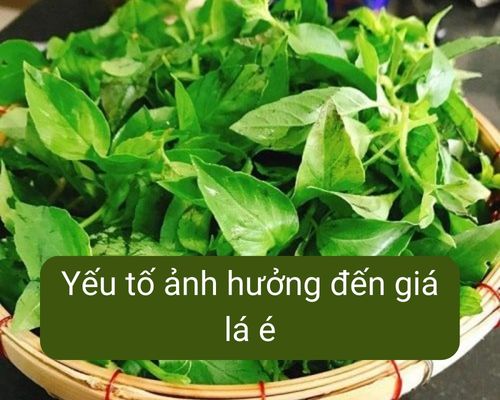 yeu-to-anh-huong-den-gia-la-e